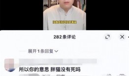 最新博主爆料胖猫视频,萌态可掬引网友热议