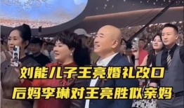 刘能儿子王亮爆料视频,独家爆料视频背后的故事