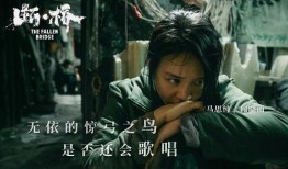 电影断桥爆料视频播放,独家爆料视频带你探秘电影拍摄幕后