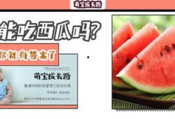 吃瓜的宝贝45集免费观看,揭秘剧情高潮，免费观看大放送！
