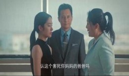小姨在线观看,揭秘现代都市情感纠葛