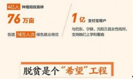 石家庄大学爆料视频播放,揭秘校园内幕