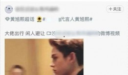 成毅狗仔爆料视频大全下载,揭秘明星幕后生活瞬间