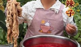 平哥美食爆料视频,揭秘热门餐厅背后的美味秘密