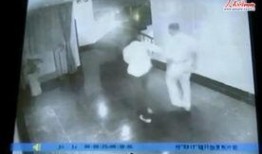 湛江爆料视频大全,揭秘城市热点事件与民生焦点