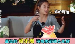 揭露娱乐圈爆料的书叫啥,揭秘那些被隐藏的爆料真相