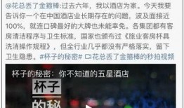 石家庄饭店爆料事件视频,事件真相与公众关注