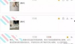 叉家最新爆料,知名作家最新爆料，揭开神秘事件背后真相