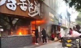 石家庄饭店爆料事件视频,事件真相与公众关注