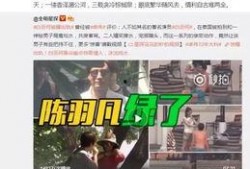 戴森新品爆料视频播放在线观看,揭秘在线观看的科技盛宴