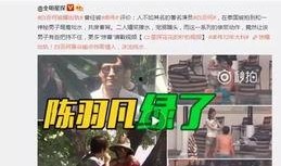 戴森新品爆料视频播放在线观看,揭秘在线观看的科技盛宴