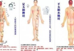 经络操视频,轻松养生，激活身体潜能