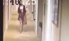 枣庄饭店爆料事件视频,视频揭露惊人内幕