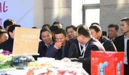 石家庄大学爆料视频播放,揭秘校园内幕