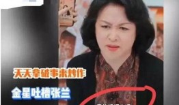 张兰爆料金星视频大全,揭秘娱乐圈背后的真相