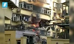 石家庄饭店爆料事件视频,事件真相与公众关注