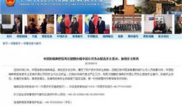 瑞典爆料大使馆视频下载,视频曝光背后的下载真相