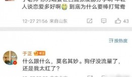 狗仔爆料白鹿的视频,白鹿私密视频曝光，真相背后引热议